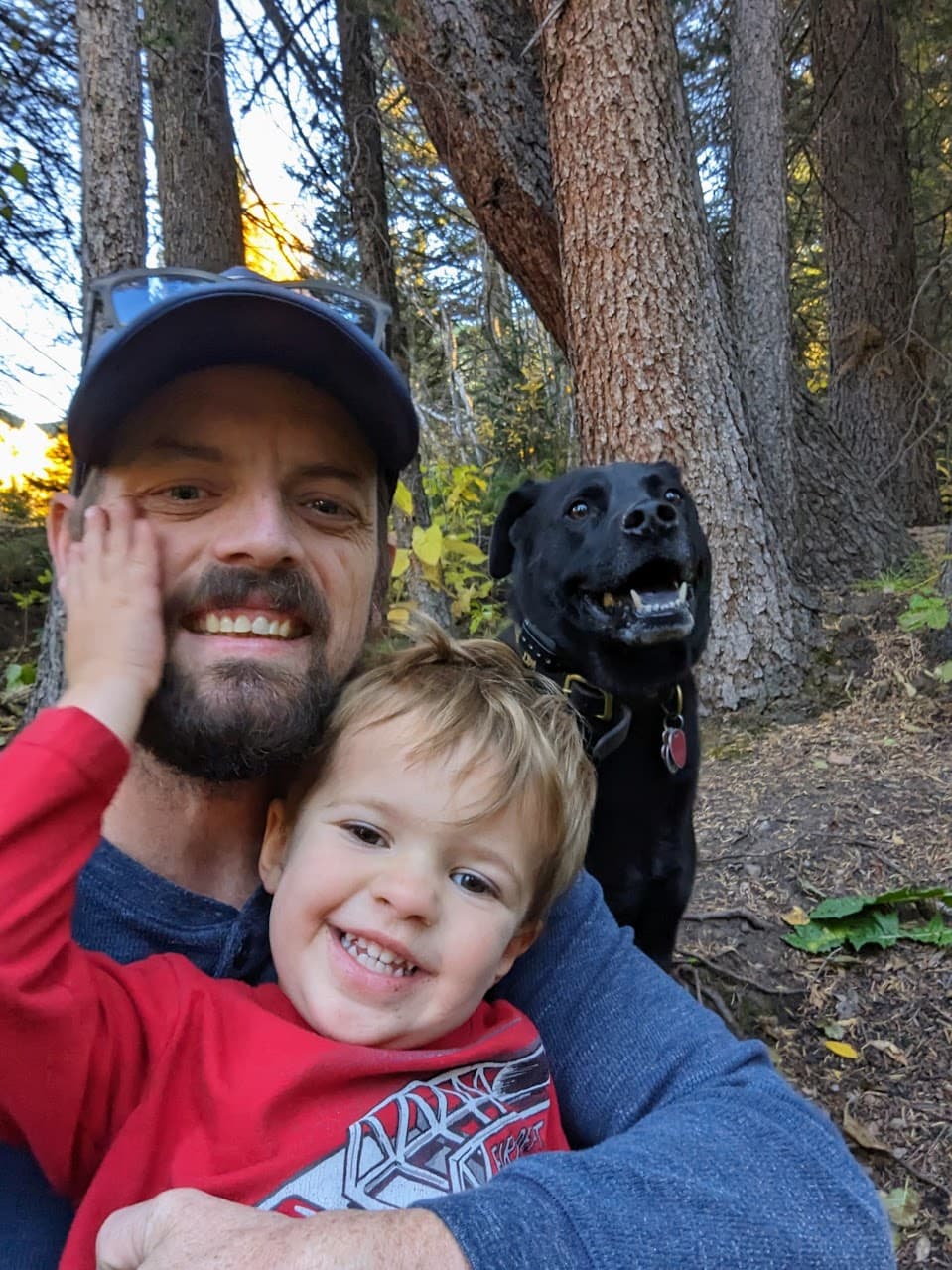 Portfolio image 4 (back)